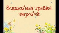 Волшебная травка зверобой_аудиоспектакль по сказке С.Козлова