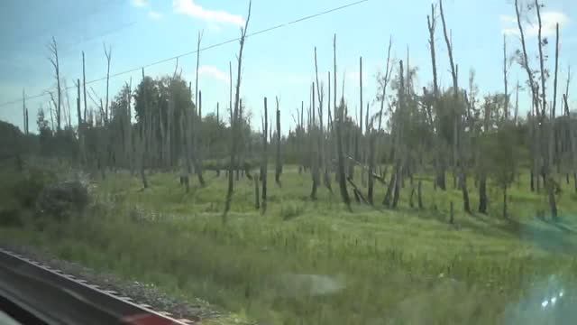 часть 21. 23.08.2023 11-58 по 16-09