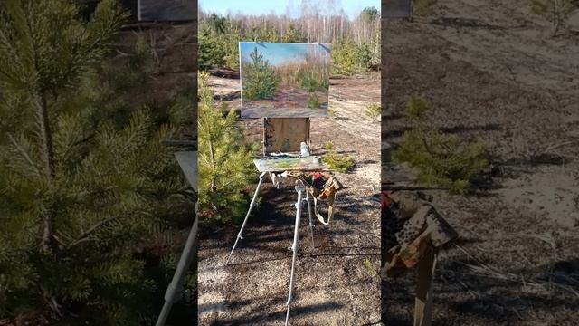 в карьере 25.03.2025г