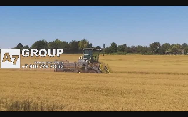 Теребилка для льна Сатива (Sativa). Бельгия #лен #уборка #комбайн