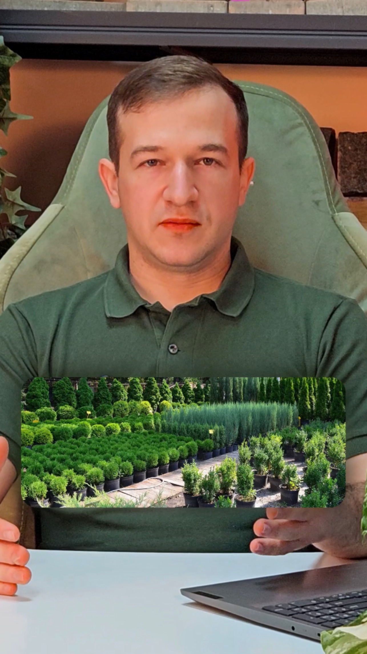 Сколько стоят растения для сада🌳🌱