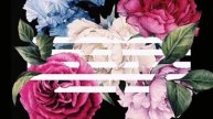 BIGBANG - 꽃 길 (Flower Road)