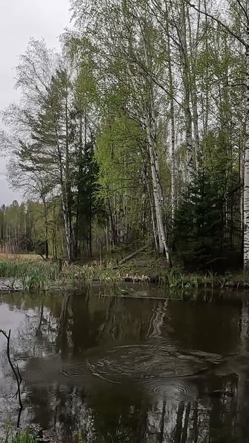 Рыбалка увидел поймал.
