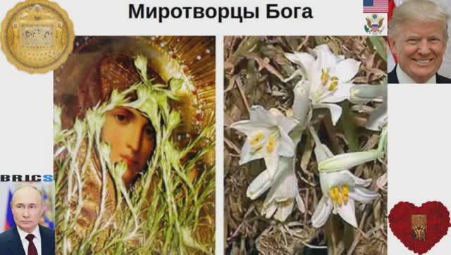 Миротворцы Бога