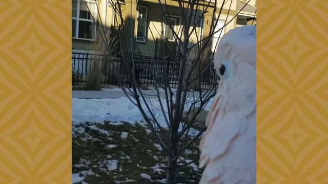 Max's Musings - Out of Doors