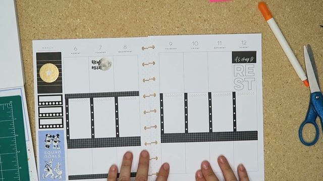 PLAN WITH ME BLACK AND BLUE MICKEY MISH MASH HEALTH & WELLNESS SPREAD #plannertntchallenge