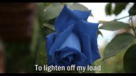 Like a Rose - Jericho Labilles