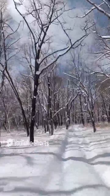 Зима русская красавица