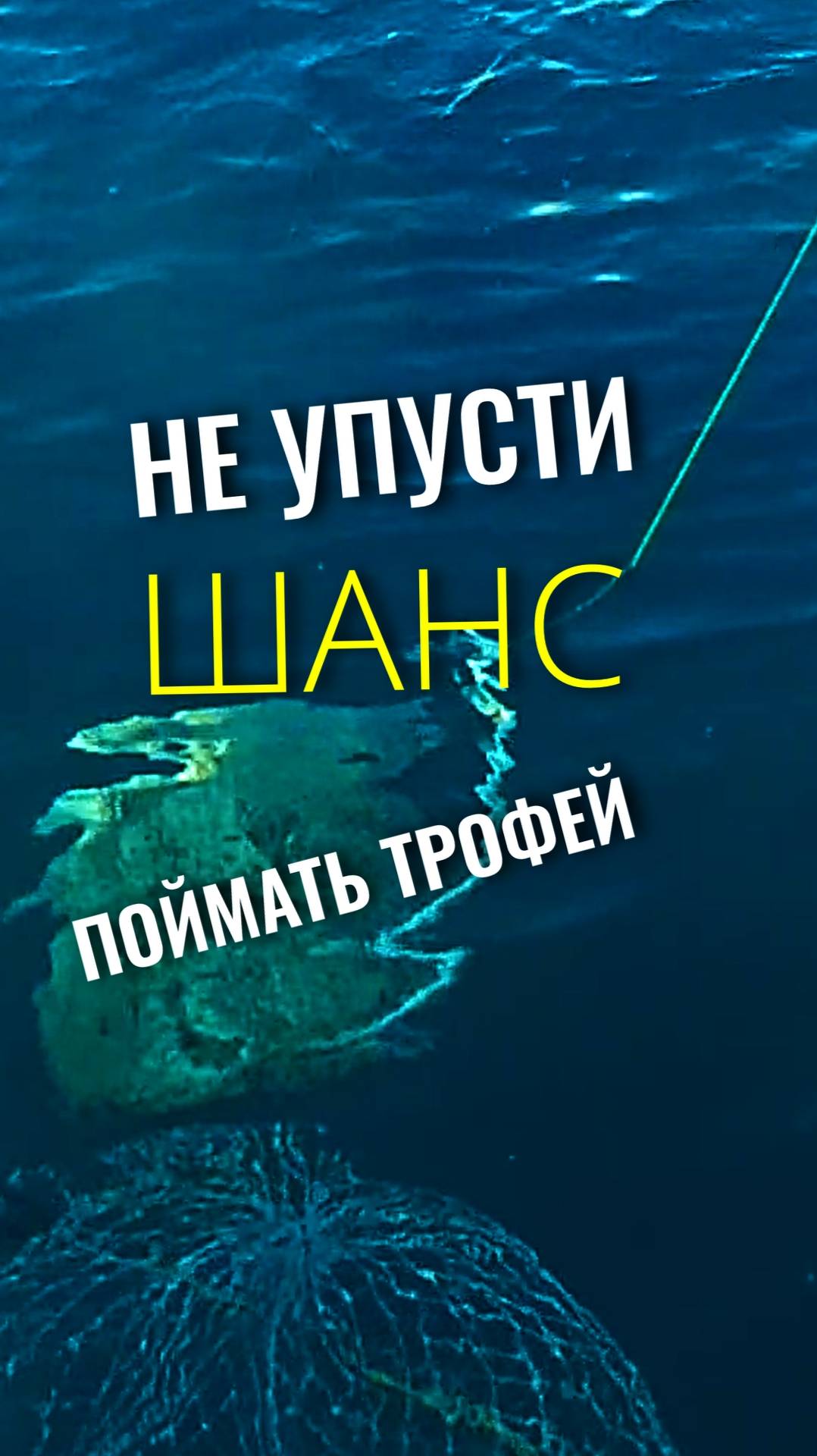 Шанс поймать трофейную рыбу на морской рыбалке в Геленджике