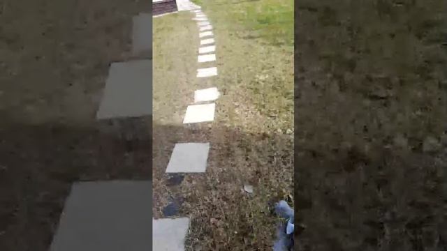 интересные движения