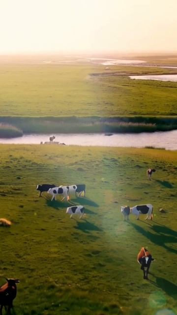 Семья — это наше всё