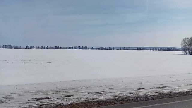 1000008294.mp4