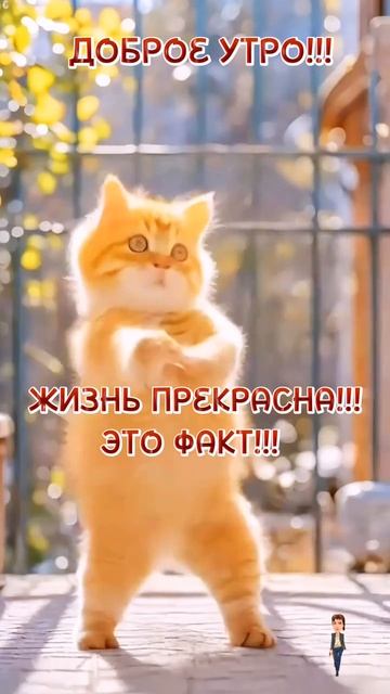 Жизнь прекрасна