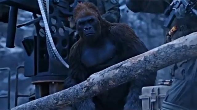 If Planet Of The Apes Meets Squid Game