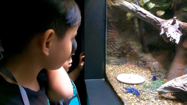เที่ยวอควาเรียม ภูเก็ต ที่ Aquaria Phuket พิพิธภัณฑ์สัตว์น้ำที่ใหญ่ที่สุดในประเทศไทย | ธีร์ธร