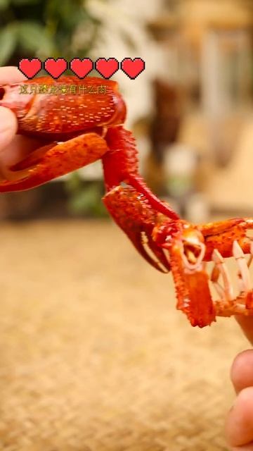 Real Mukbang▶ Expensive but delicious lobster and snow crab ☆ Ramyun with Lobster
