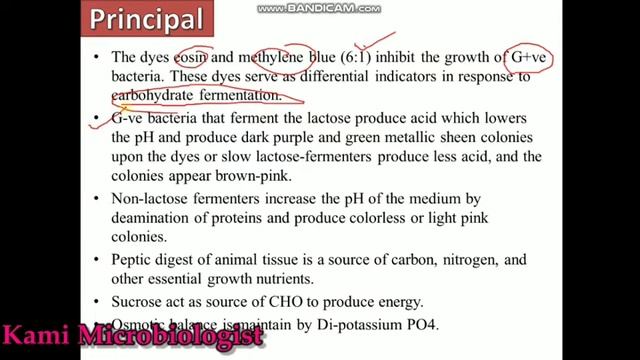 Eosin Methylene Blue (EMB) agar media: Culture media lecture 7