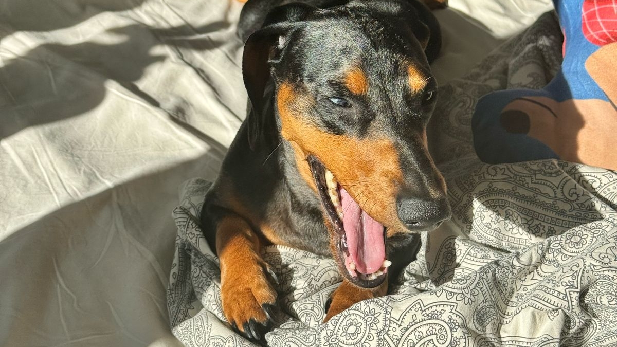 Играем в Roblox