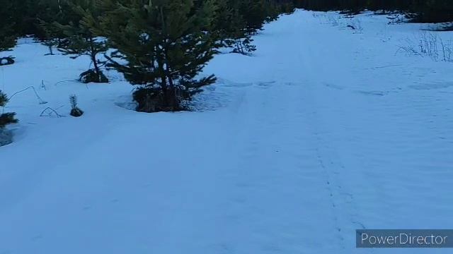 по насту в марте