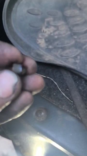 VID-20250320-WA0221