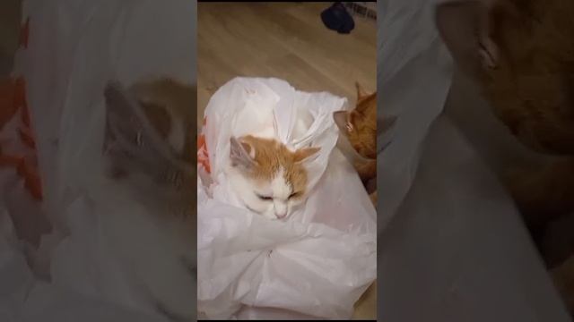 1000004547.mp4