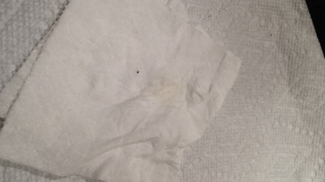 Essential oils to repel ticks