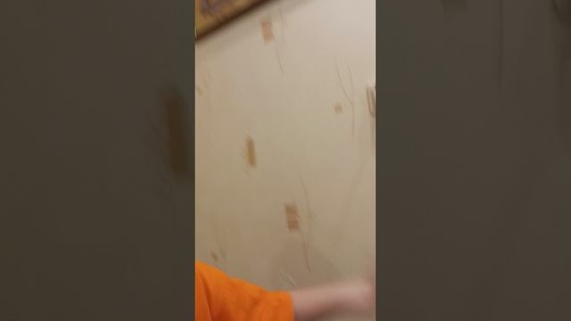 веер