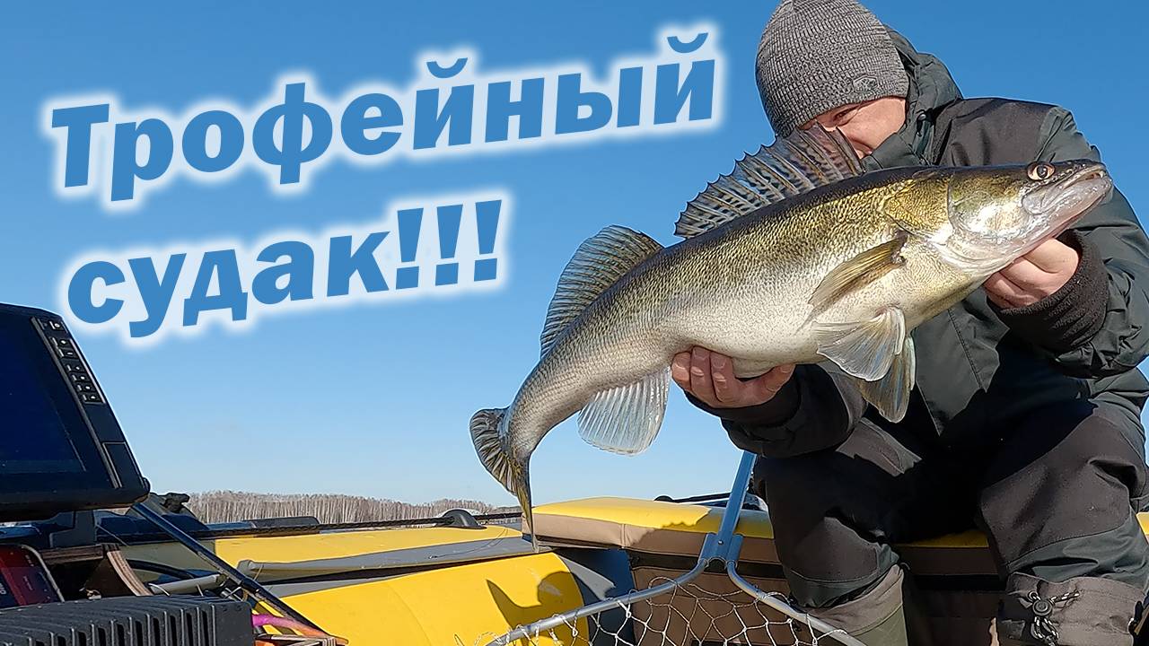 РЫБАЛКА В КАНУН ЗАПРЕТА ИЛИ ЛОВЛЯ ТРОФЕЙНОГО СУДАКА!!!