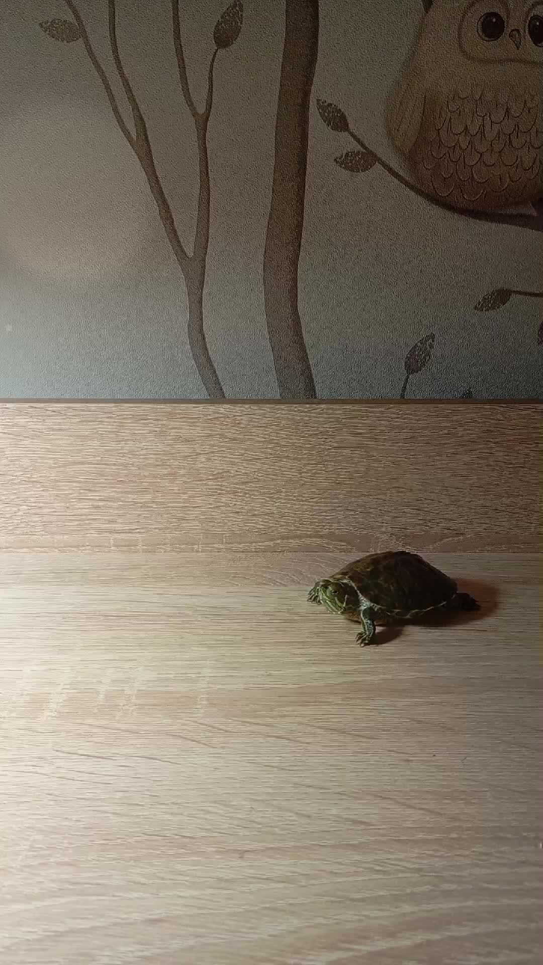 😌☺️