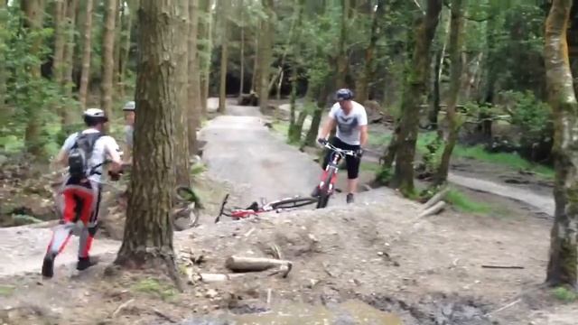 Gisburn forest blooper
