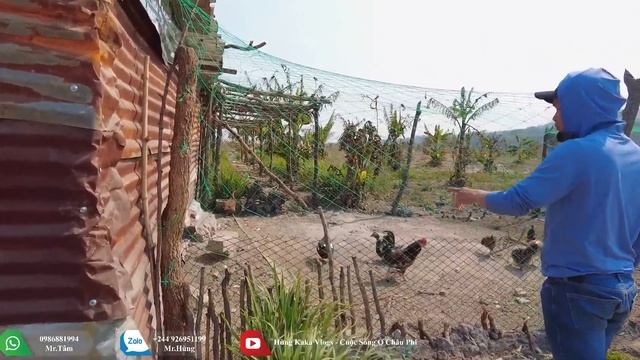 Hùng KaKa ll Nông Trại Đón Thêm 3 Thành Viên Mới Trong Ngày Nhận 2 Niềm Vui ?