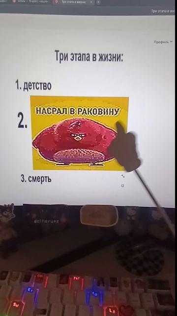 жизнь...