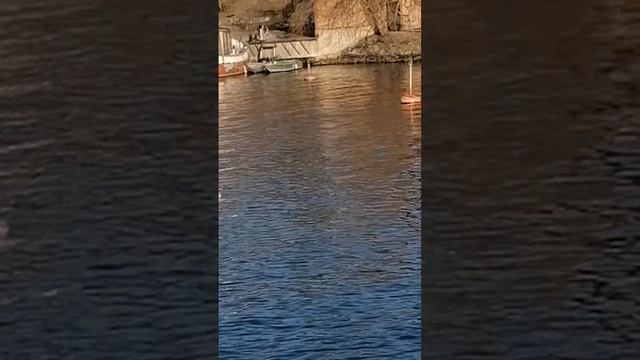 Стокгольм. Весна. 22.03.2025