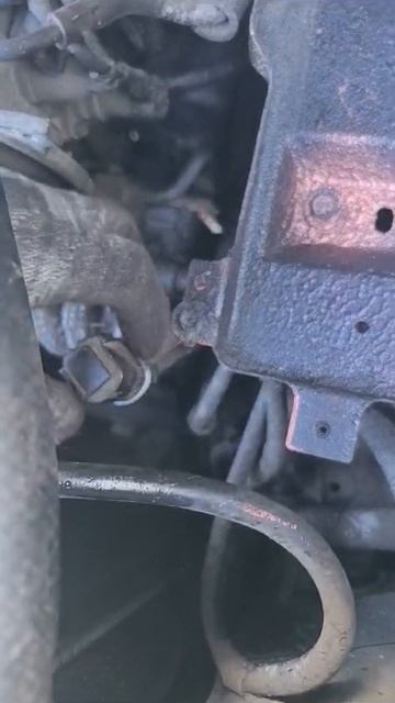 VID-20250320-WA0156