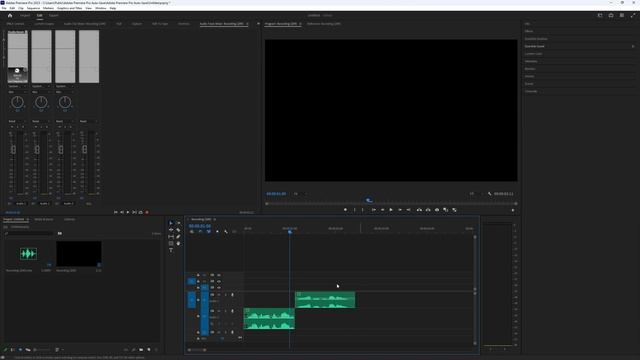 How To End A Song/Voice With A Reverb Echo Effect In Premiere Pro