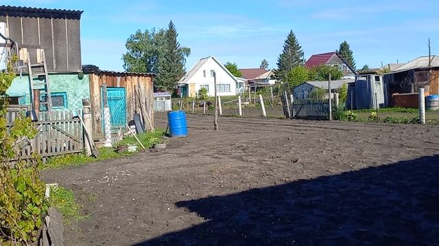 Плети огурцов по всей веранде, не пройти не проехать.