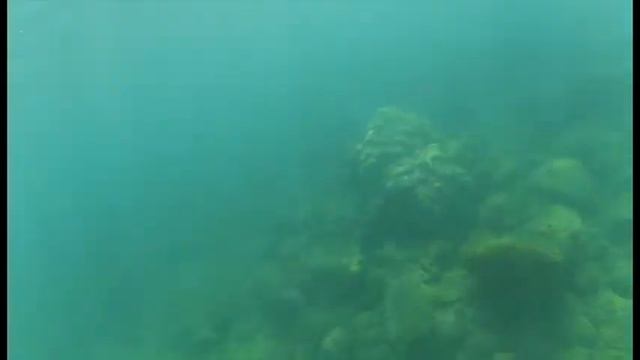 Xiaomi yi action cam saintmartin island