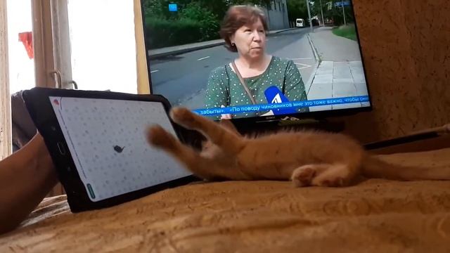 маленький Рыжик