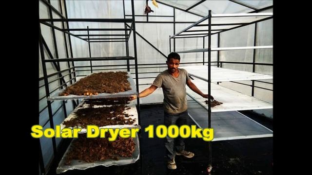 Air Circulation Solar Dryer for ginger and turmeric I Solar Dryer
