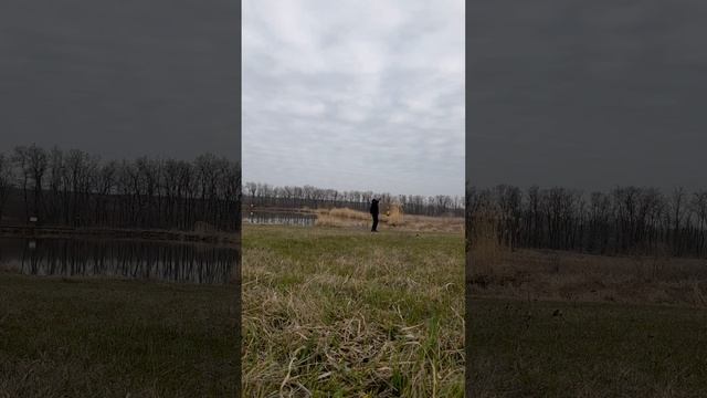 марадона бог
