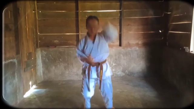 Beautiful Karate Girl _ Kihon Kumite