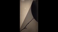 Prune | Episode 1