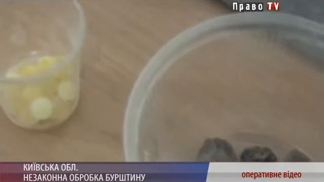 НЕЗАКОННА ОБРОБКА БУРШТИНУ