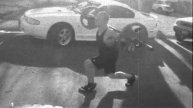 Primal Force Gym