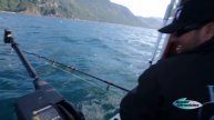Owner Hooks: "Long Shank Hook"