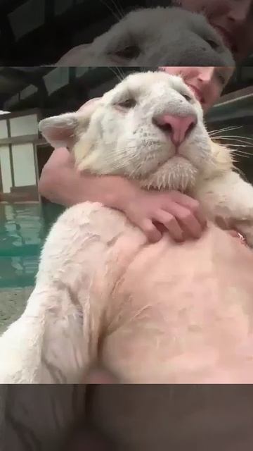 So Comfortable!!