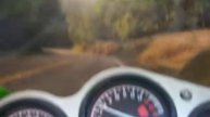 Short Ride