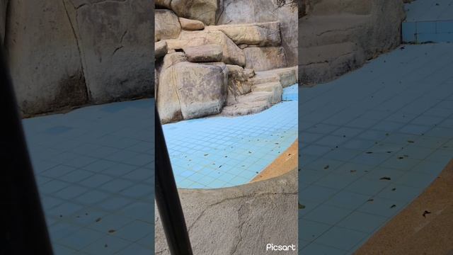 Спа I- Resort минеральные источники, ванны с лечебной грязью. Вьетнам Нячанг.