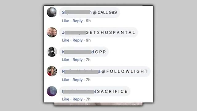 This Facebook Group Pretends To Be Ants