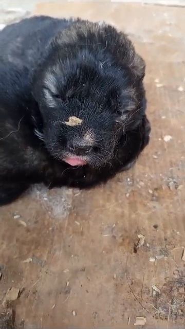 1000018825.mp4